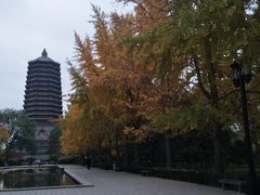 -玲珑塔公园