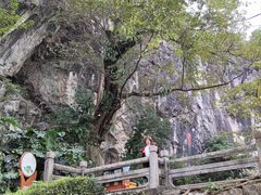 -星湖旅游景区七星岩