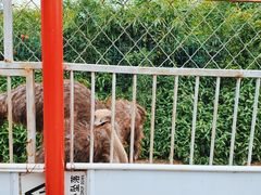 -河北村民俗体验园
