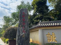 -庐山风景名胜区-东林大佛