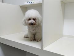 -关爱宠物医院·猫科中心·消化科(滨湖万达分院)