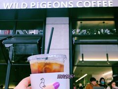 -野鸽子咖啡(中航店)