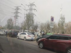 -中环花鸟鱼虫市场