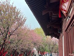 -西安青龙寺遗址景区