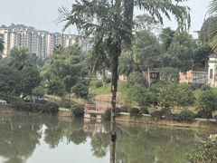 -枫香湖儿童公园