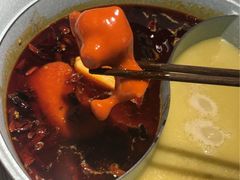 -青瓷火锅料理(西单大悦城店)