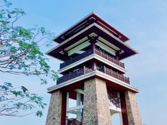 -大湾区中央湿地公园
