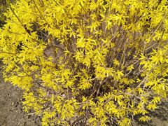 -哈尔滨师范大学(松北校区)