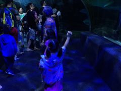 -暹罗海洋世界