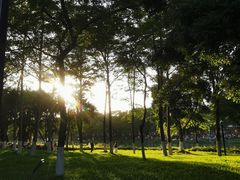 -海珠湖公园
