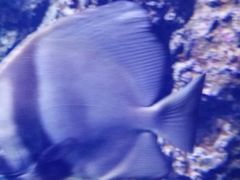 -南昌融创海世界