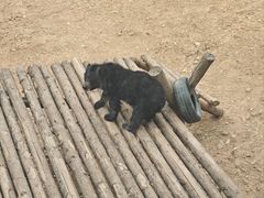 -泉州海丝野生动物世界