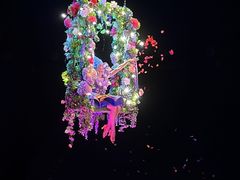 -海合安武汉极地海洋公园
