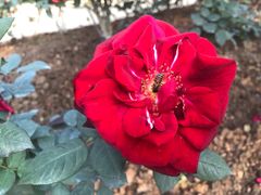 -人民公园(罗湖区)