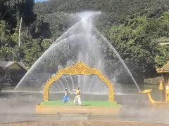 -西双版纳原始森林公园