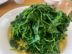 -品鲜村农家菜·阳澄湖大闸蟹(总店)