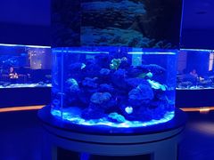 -上和臻品中国菜(花园街店)