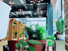 -桉树林A coffee 森林餐厅(三圣乡店)