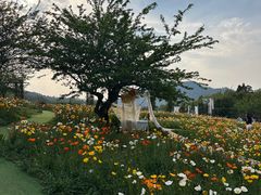 -名花谷生态庄园