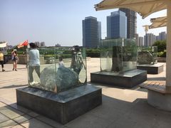 -陕西自然博物馆