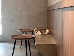 -Again Coffee Roaster(香蜜湖店)