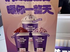 -一只酸奶牛(春熙路店)