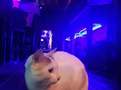 -星宿秘码(鼓浪屿老店)