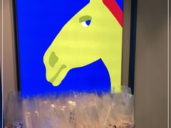 -春丽小马(济南恒隆广场店)