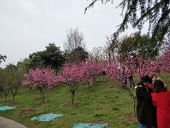 -堤角公园