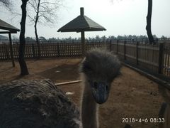 -东海森林温泉度假酒店