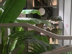 -湊湊火锅·茶憩(皇姑万象汇店)