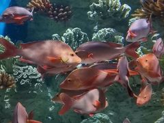 -福州罗源湾海洋世界旅游区