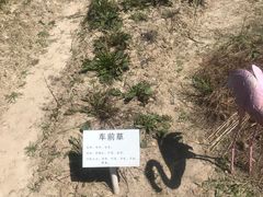 -宁波浙东大竹海景区