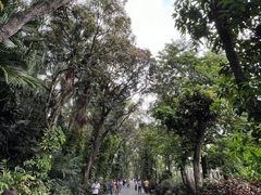 -华南国家植物园-售票处