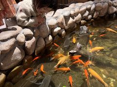 -馬蘭花開(车站大道店)