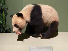 -深圳博物馆历史民俗馆