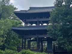 -阿妹小海鲜(下角店)
