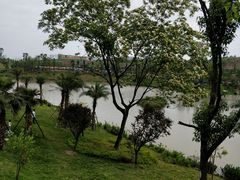 -枫香湖儿童公园