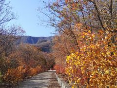 -阳台山自然风景区