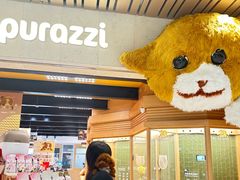 -帕帕拉兹宠物(亚洲旗舰店)