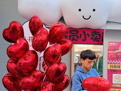 -中粮·祥云小镇