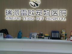 -瑞派雷欧宠物医院·24h夜诊·心脏骨科牙科·全科重症转诊中心(无影山店)