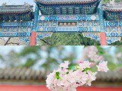 -国家植物园