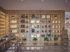 -绿雪芽白茶(浙大华家池校区凯旋路店)