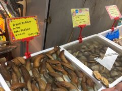 -蚝专家(北滘店)