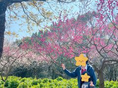 -上海海湾国家森林公园