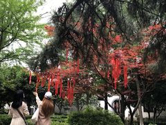 -归元·云集斋素菜馆