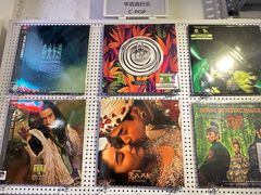 -树懒黑胶唱片店(中山路店)