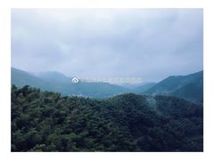 -宁波浙东大竹海景区