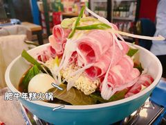 -猫头鹰炸鸡